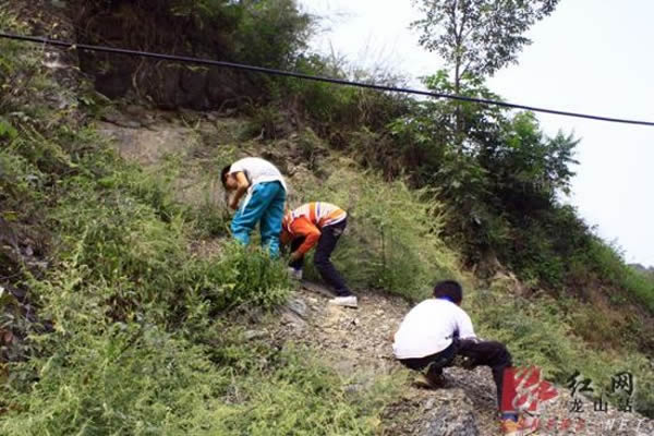 ʯɽ鴫񰲽ֵ԰Ĵ弶·ɽϵлʯ