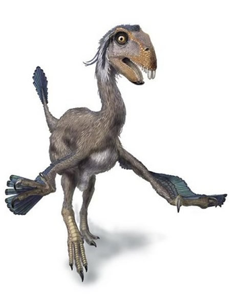 г(Incisivosaurus)