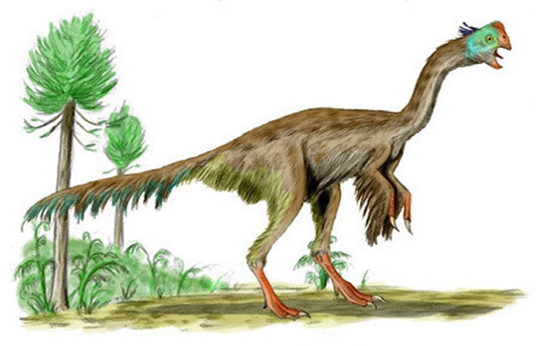 ޵(Gigantoraptor)