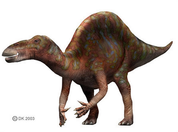 (Ouranosaurus)