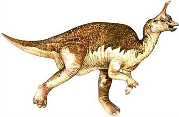 ൺ(Tsintaosaurus)