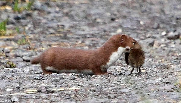 �������Բ������˲��