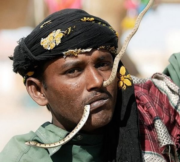 巴基斯坦「蛇人部落」的舞蛇绝活