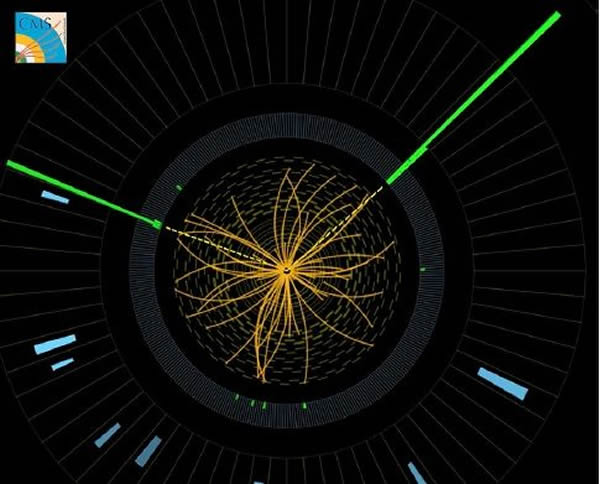 ϣ��˹�����ڲ���֮�󼸺�˲��ͻ�˥����������ӣ��������µ�·����ͼ����ɫ������������������CMS̽������ͼ���й۲쵽 ͼ����Դ��CERN