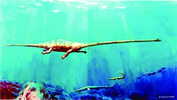 海龙生态复原图