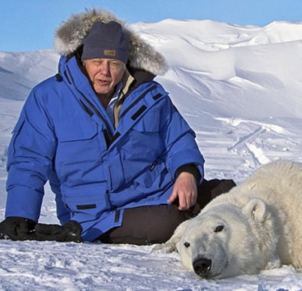 ��Ϊ������������ͬʱ���尬�Ǳ���ʿ�ڱ���ʵ�ؽ���Ļ��棬�ù��ڸ��Ӷ�һ���ֶ��ƾ�ͷ����Ϊ�档