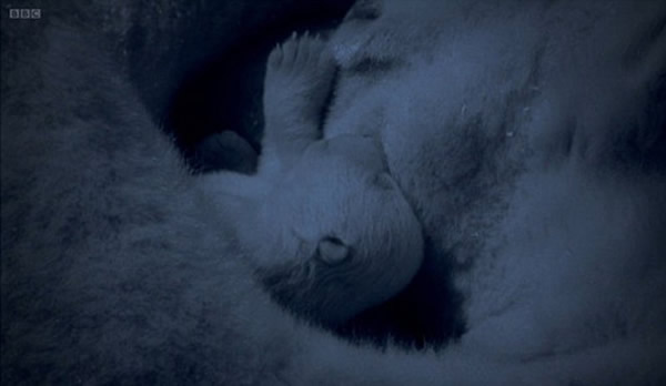 �������յ���Ϊ��һĻ���ڱ�������ġ�