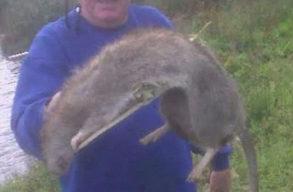 ������е�Ҧ�����������ݳ�������120���ֵľ��͡���˹����