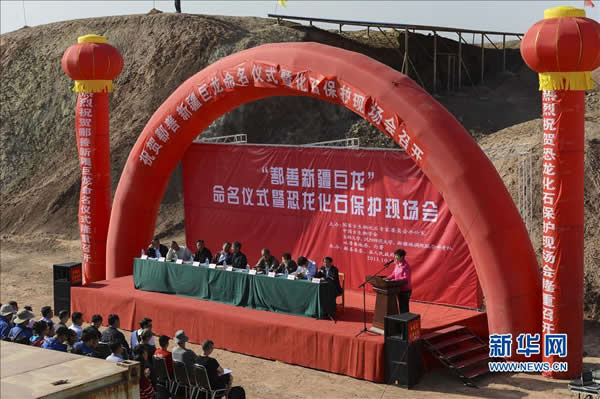 10月10日,新疆鄯善县七克台地区“鄯善新疆巨龙”命名仪式现场。