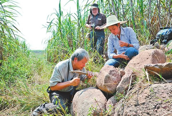 古生物学家在广西扶绥考察恐龙化石遗址