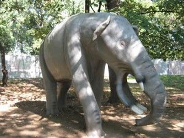 ���������ص����������Ĳ�����ԭģ�͡�