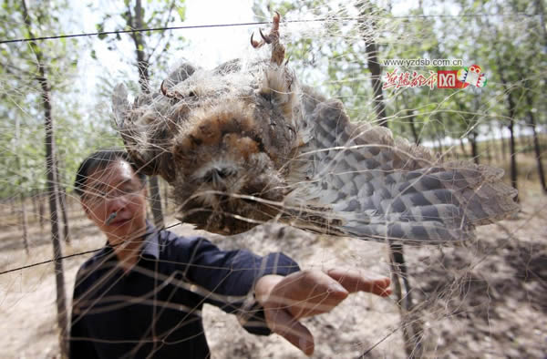 ʯ��ׯ�����ӱ��������־�����������Ŀ����