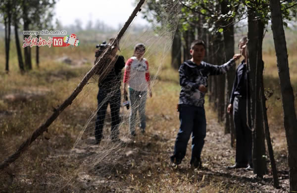 ʯ��ׯ�����ӱ��������־�����������Ŀ����