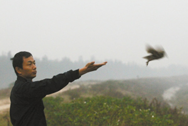 �ŷɸվ��µ�Сèͷӥ��