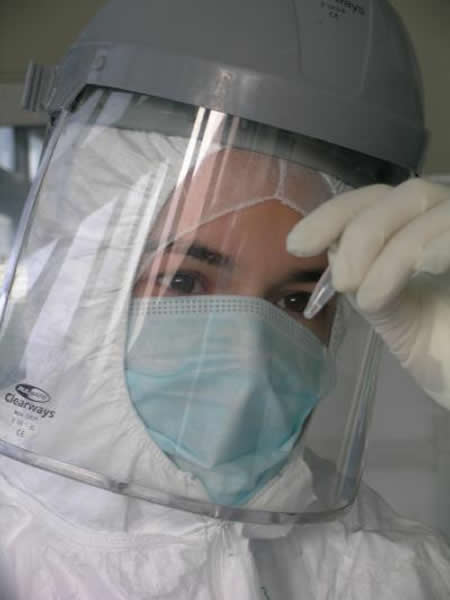 DNAЯ��������Ϣ