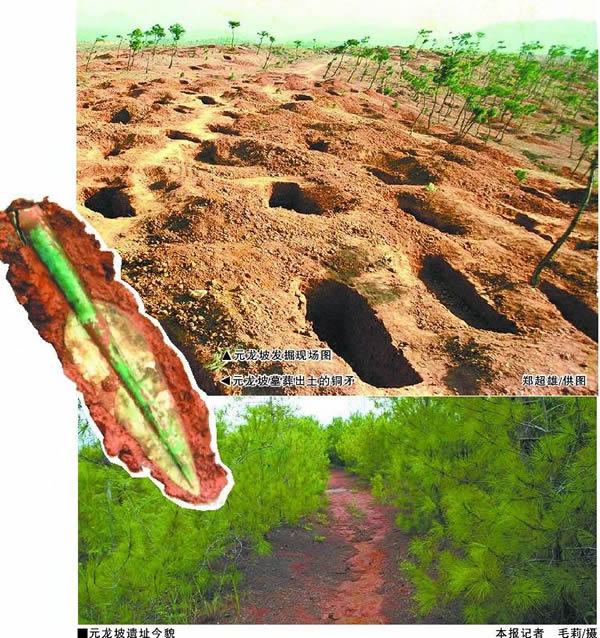 Ԫ������ַ