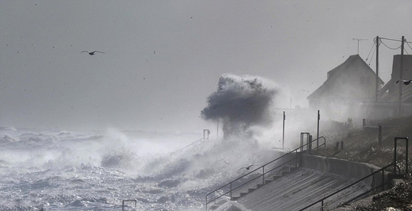 Ӣ������ķ�ۿ���������Ϯ��