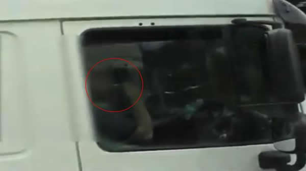 Ӣ����������һ��˾�����Ķ���ݳ�����Ƶ������·����ˢ��