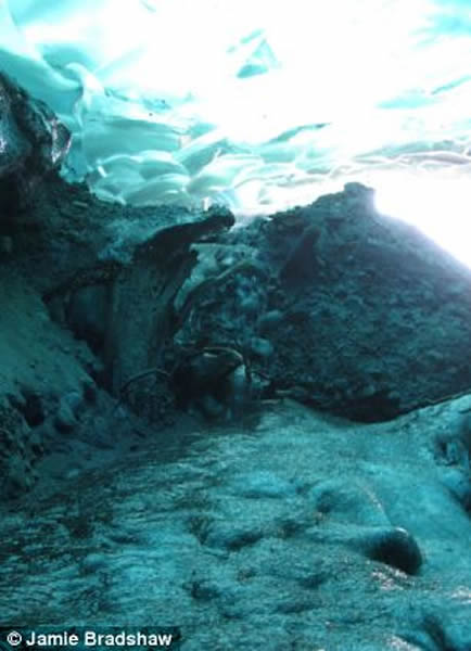 美国阿拉斯加朱诺市融化冰川下发现数千年前的古代森林