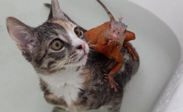 有时候还一起洗鸳鸯浴?