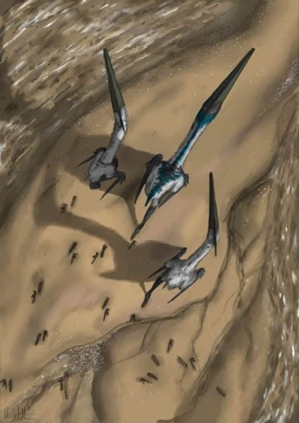 翼龙类在水畔行走留下足迹(绘图Mark Witton)