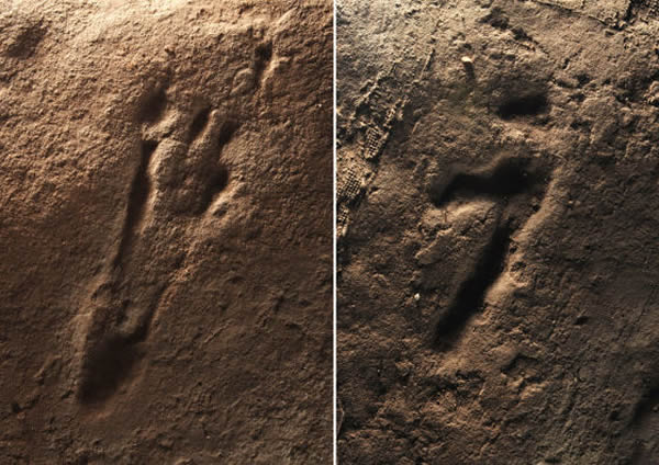 綦江翼龙足迹 (摄影 肖诗白)