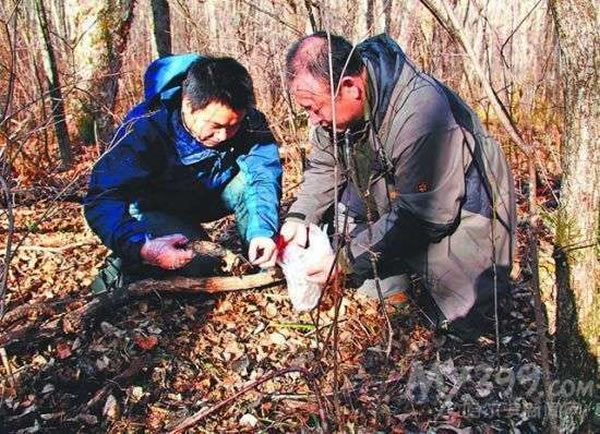 ר����ȡ�ϻ��������