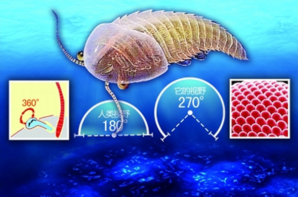 5.2����ǰ���ҹ���桱ӵ����֪����ĸ���