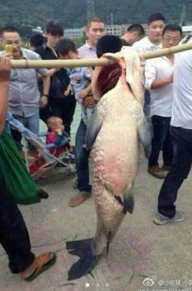 �㽭������˲����һ�˸ߴ��㣬ɽ�廬�������Σ�