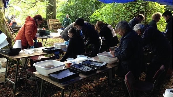 英格兰巨石阵附近挖掘出古代食物残骸:八千年前的蟾蜍腿骨