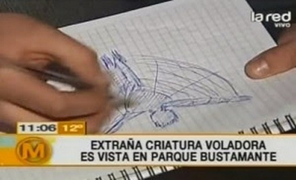 不明飞行生物的目击情报,也引起当地电视台蜂拥讨论。