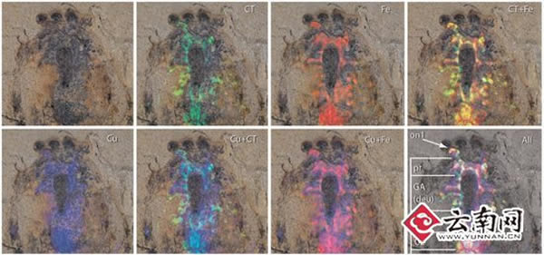 �ν���ʯȺ�з��ֺ����ʱ����֪�������Ķ���������ϵͳ