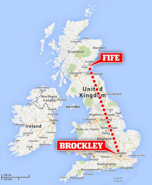 英国一只小猫走失一年在750公里外被寻回