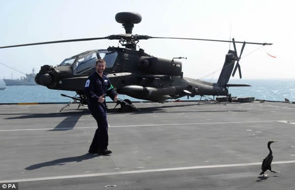 Ӣ���ʼҺ�������Ժš�����ĸ����һֻ����䵽���мװ��϶�����ѵ���Ƴ�