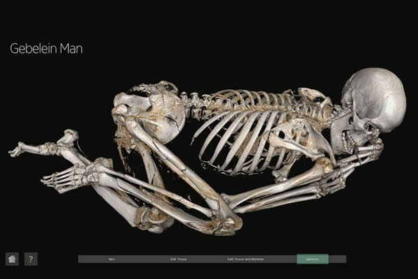 5500年前木乃伊检测出真实死因:被凶手从背后刺杀身亡