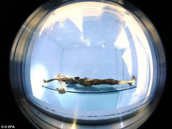 ���´ġ��ֱ����������������ŵ��һ�Ҳ���ݡ��ڲ���ݵ�һ����ؼ䣬�ο��ǿ���͸���ϴ��ۿ����´ġ�