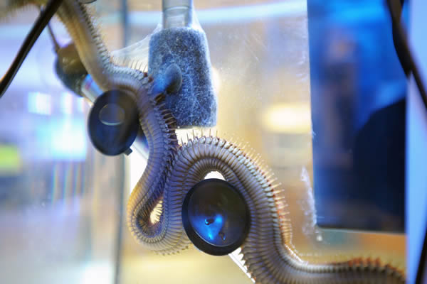 Ӣ��ˮ�����������ʧ�٣����Ͳ����س�ظ׵�10��