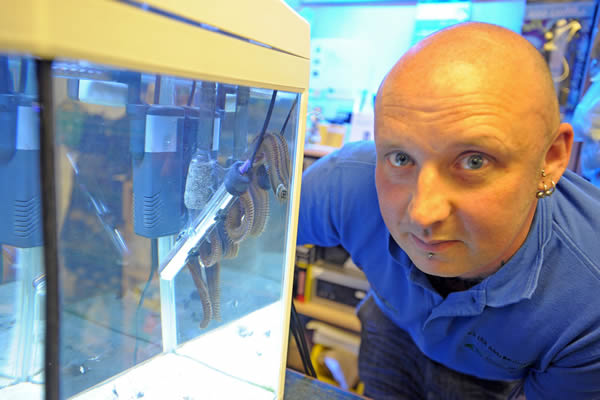 Ӣ��ˮ�����������ʧ�٣����Ͳ����س�ظ׵�10��