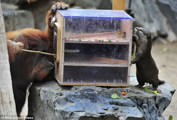 ¹˶԰ȡʳ޲ߣˮ̡Ԯ