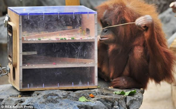 ¹˶԰ȡʳ޲ߣˮ̡Ԯ