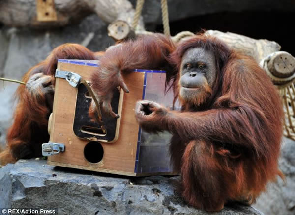 ¹˶԰ȡʳ޲ߣˮ̡Ԯ