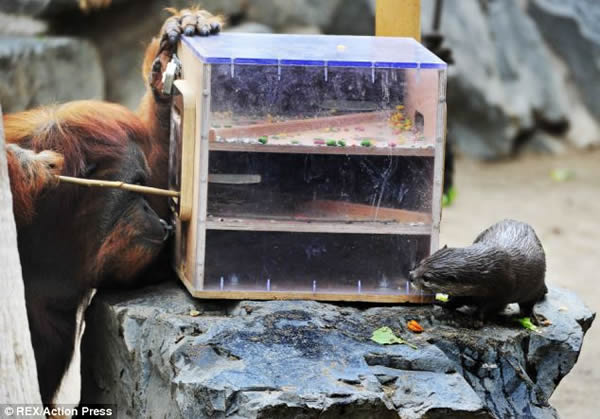 ¹˶԰ȡʳ޲ߣˮ̡Ԯ