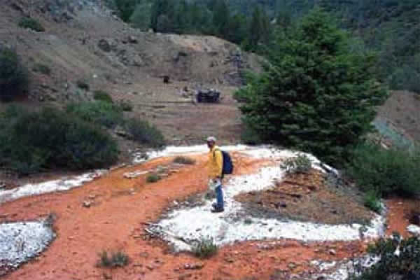 来自淘金热时代的被汞污染的沉积物