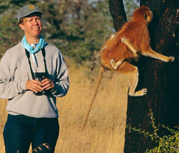 鳤දһԪܶѡԵѸٷӦ