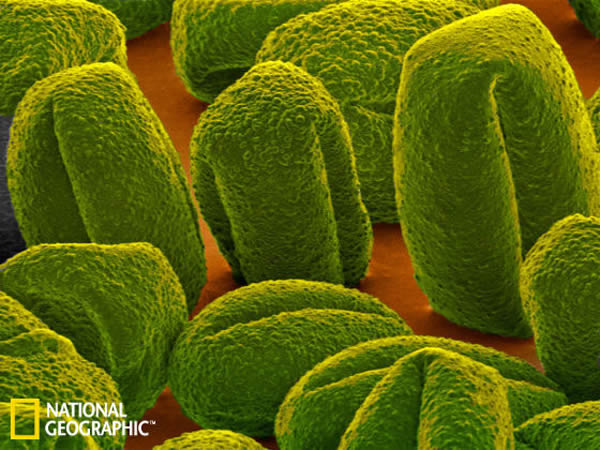 ����һ��Ի��ۿ�����ʯ�ķ�����ʾ����һ�γ���150���ʱ���ڣ���������һ�������صĺ���