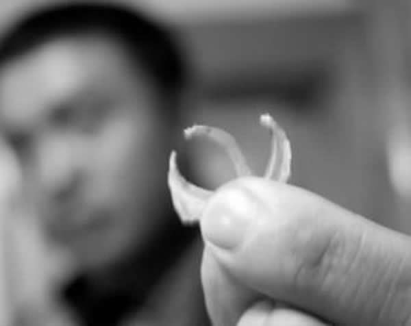 �����������Ļ�צָ��