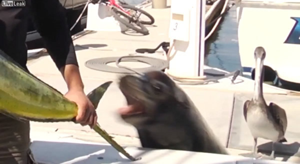 ī������ӽ�Ŀչʾ�������㱻��ʨ����ˮһ�ڵ���