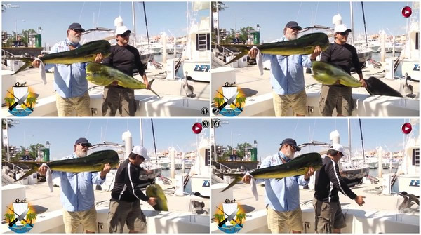 ī������ӽ�Ŀչʾ�������㱻��ʨ����ˮһ�ڵ���