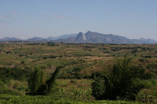 莫桑比克山地天空岛森林生物多样性非常丰富
