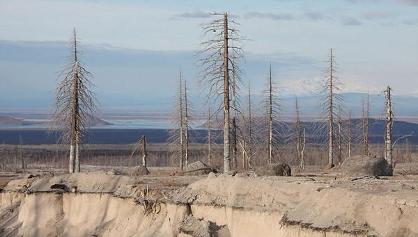 ����˹����Ӱ뵺�ϵ���ά�����ɽ�Ϳ����з�˹��櫻�ɽ�緢��׳������